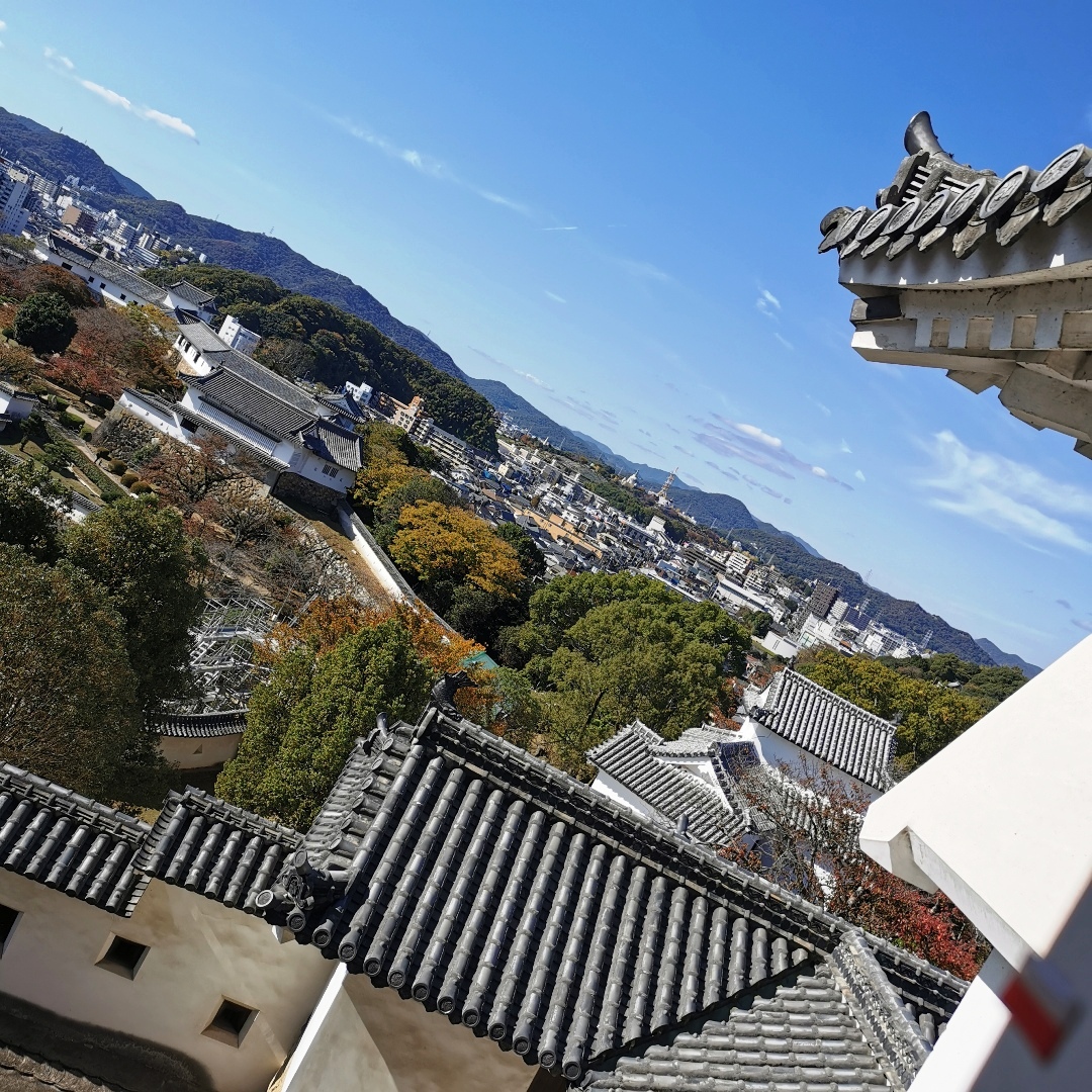 2024_11_japan_himeji 46884892ba4c