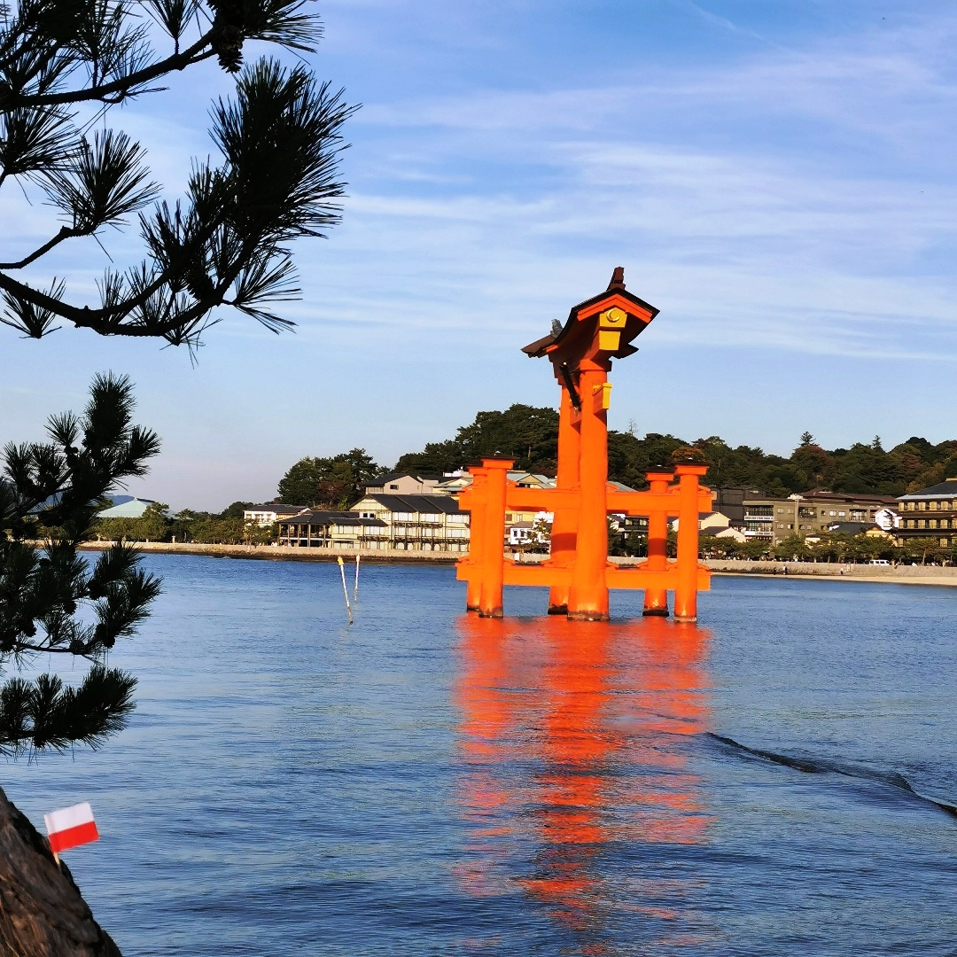 2024_11_japan_itsukushima 941f11359f7d