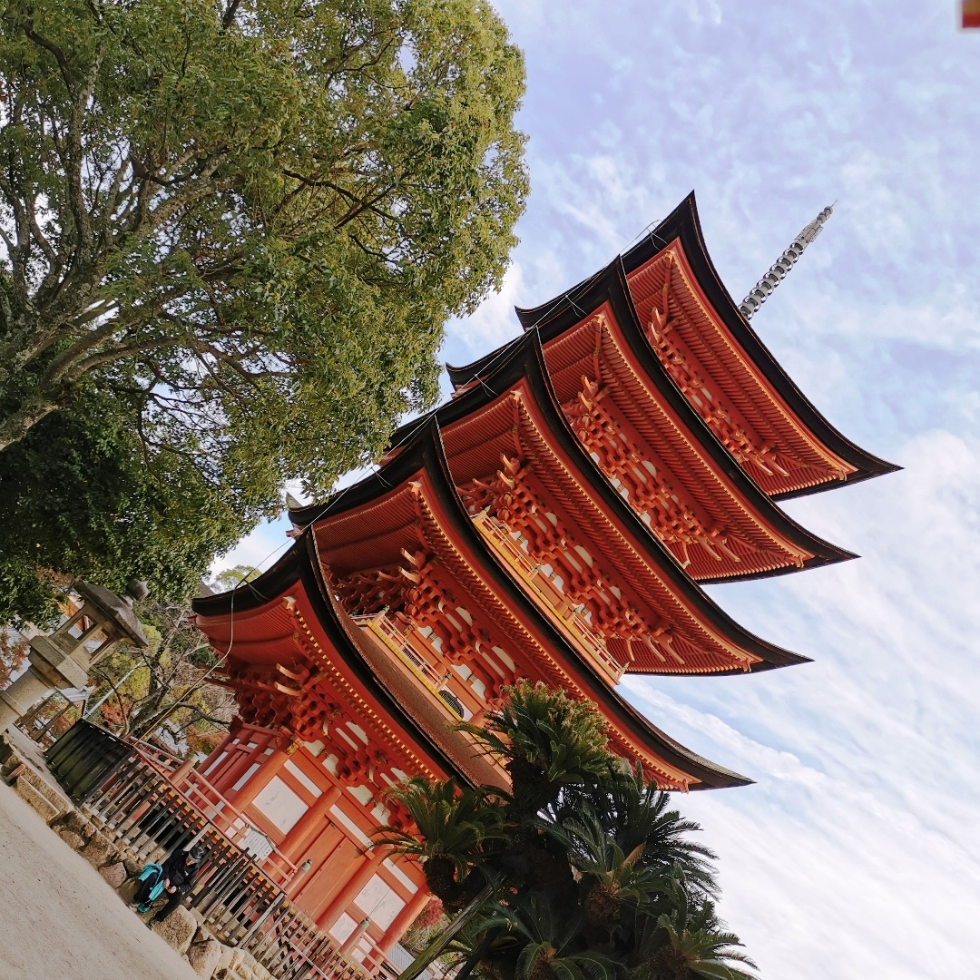 2024_11_japan_itsukushima d103059a6bfb