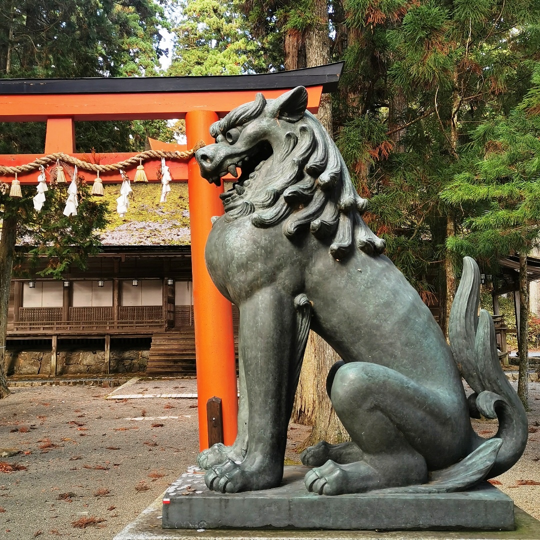 2024_11_japan_koya-san 110ef64e760a