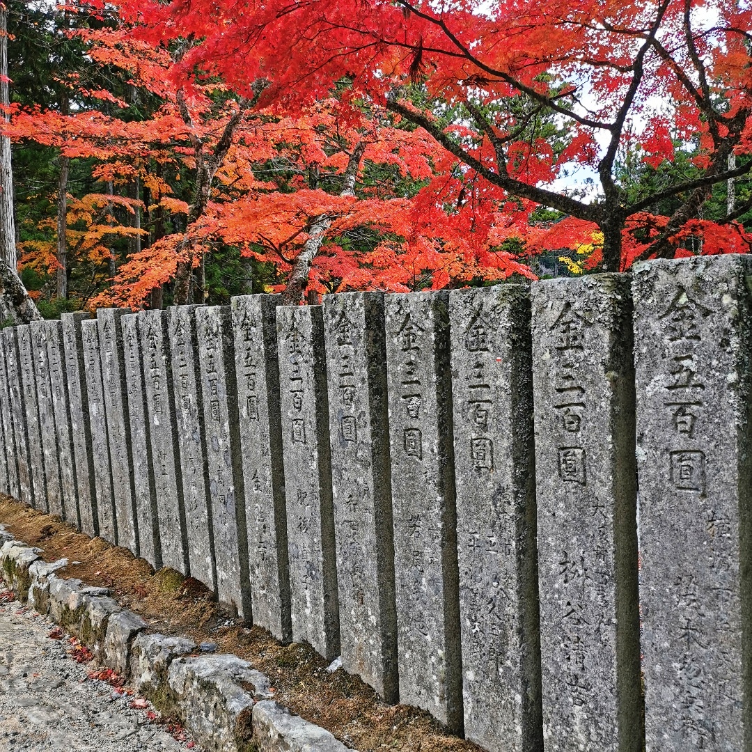 2024_11_japan_koya-san 7c6e9402780f