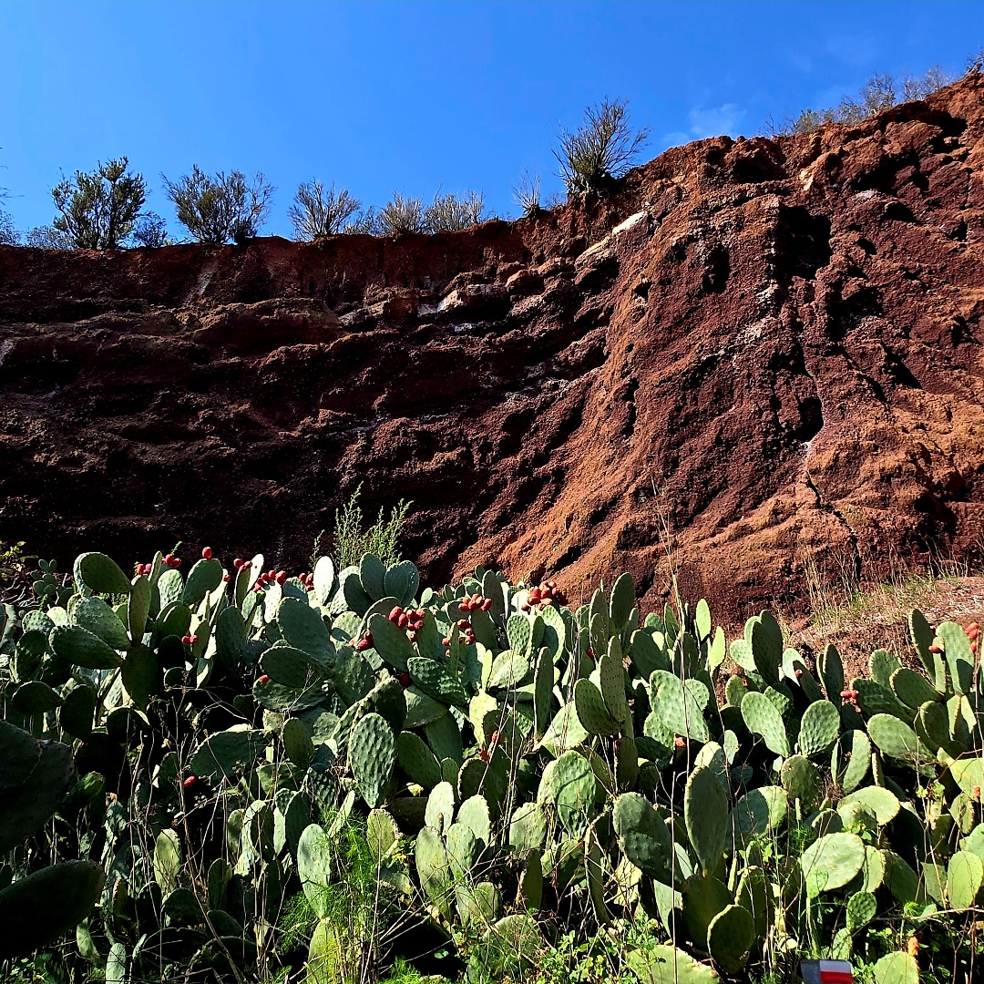 2024_12_spain_tenerife f9a73f643e44