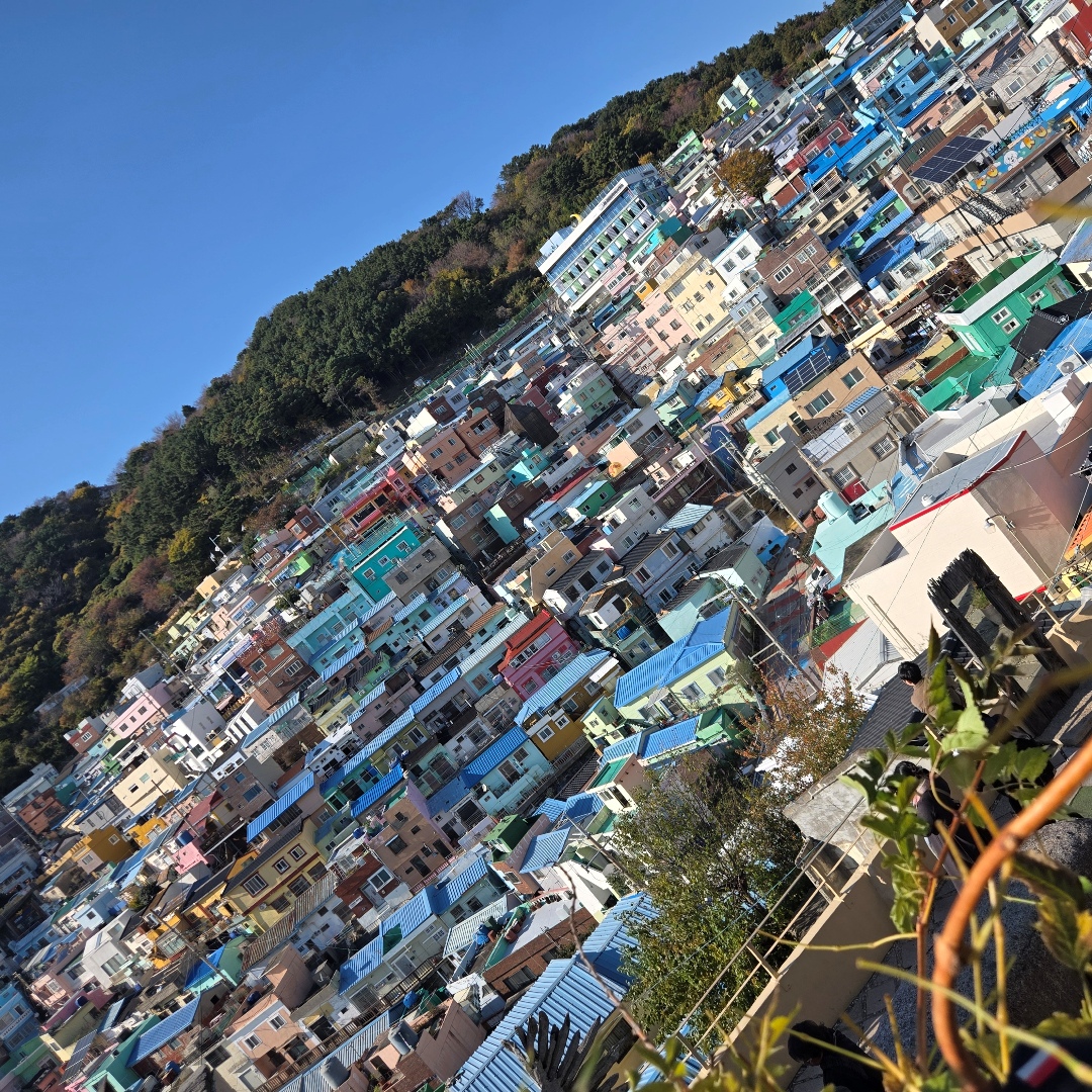 2025_11_korea_busan 1095ab65ac02