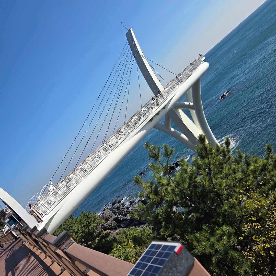 2025_11_korea_busan 363cc66681ac