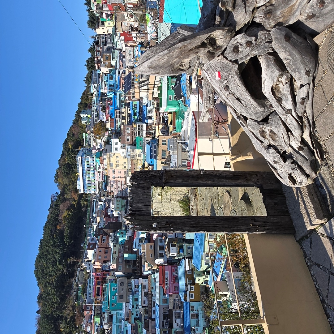 2025_11_korea_busan 5dc5bc2909e9