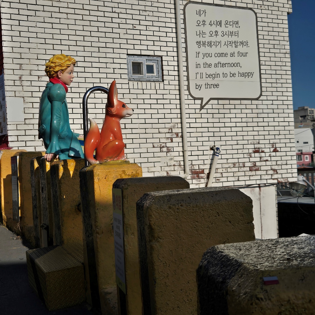 2025_11_korea_busan 82cea4ab0d50