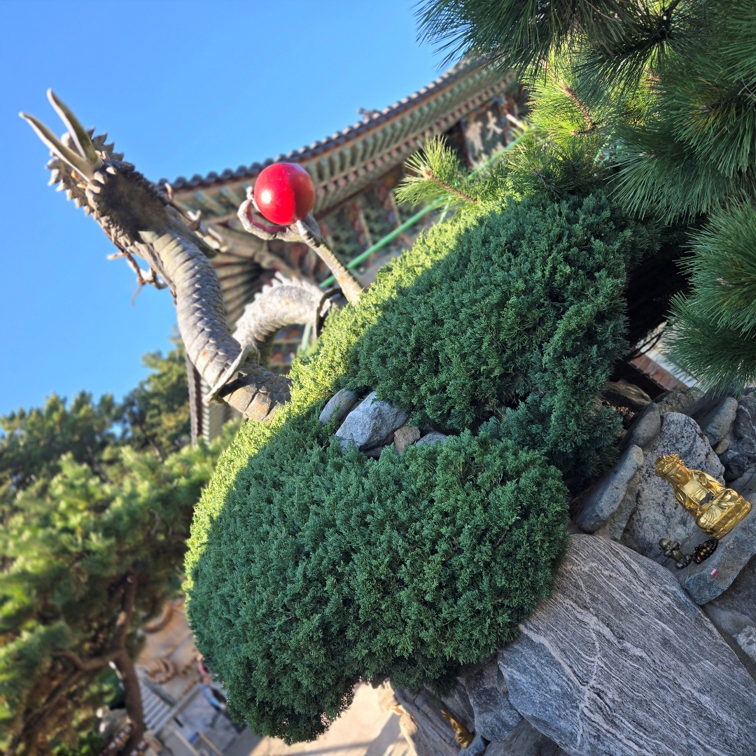 2025_11_korea_busan 97d9183d6b68