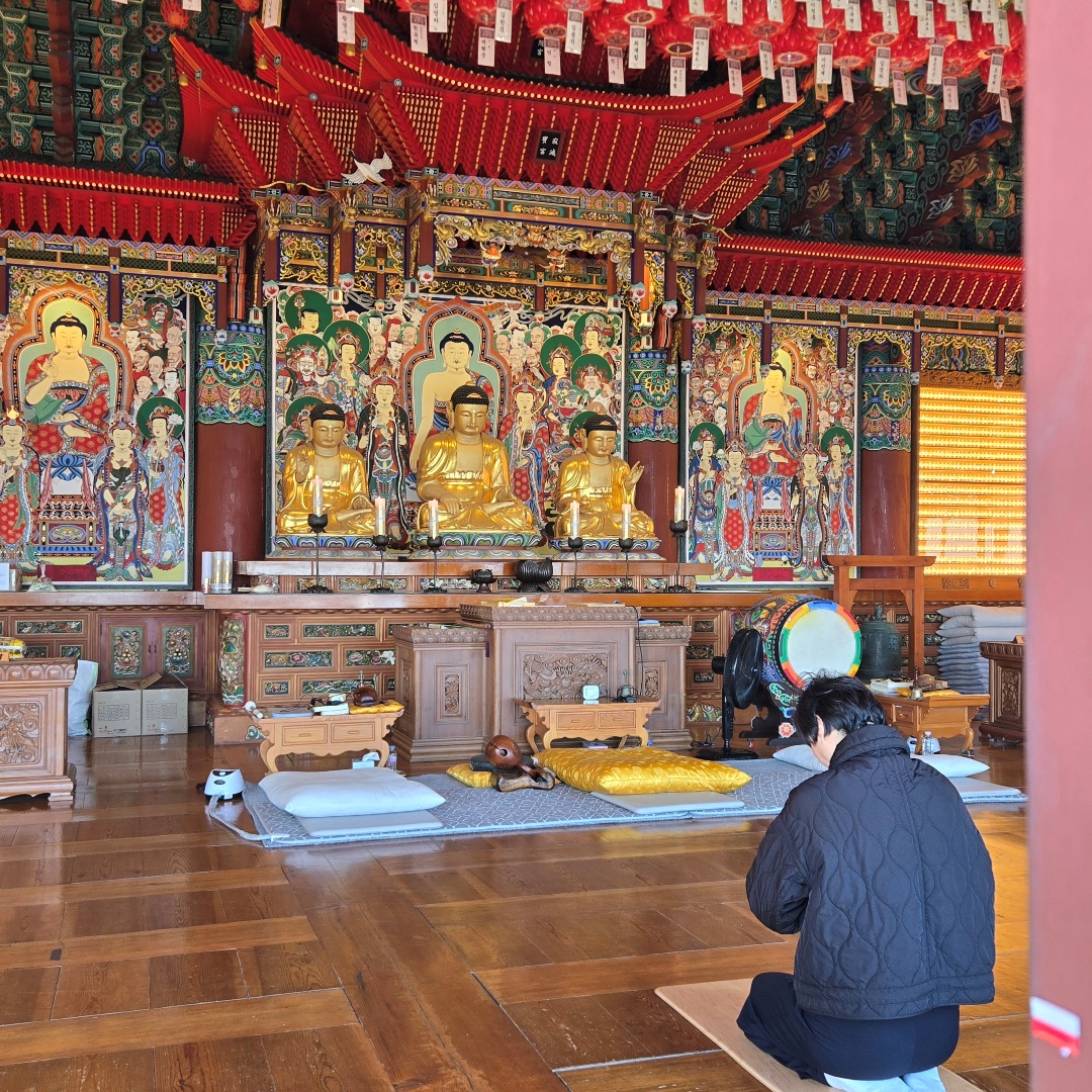 2025_11_korea_busan ecaf9474a333