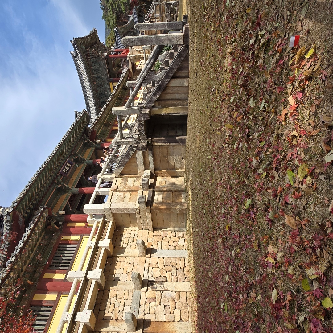 2025_11_korea_gyeongju 141b1dde62ff