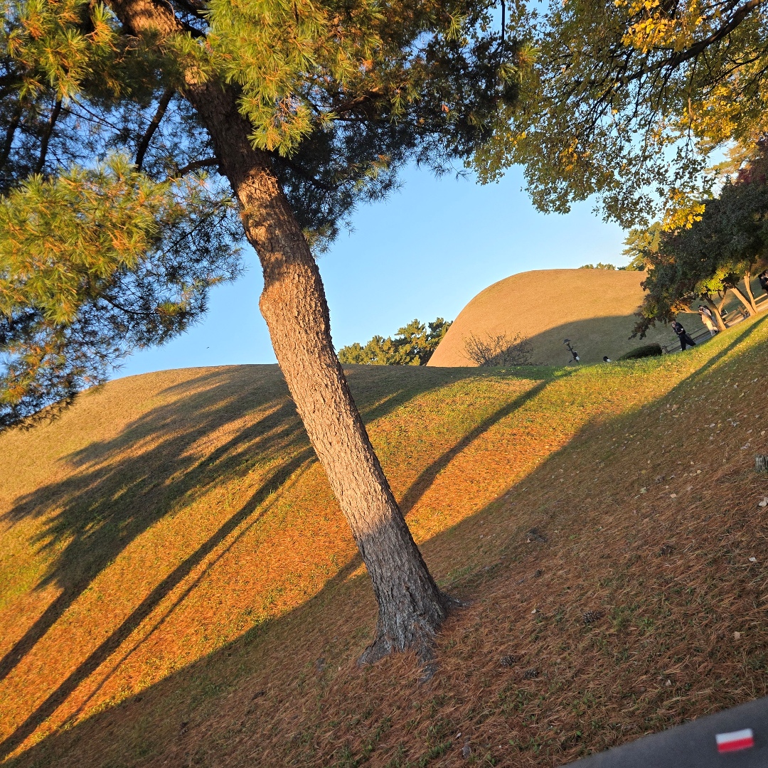 2025_11_korea_gyeongju 20c67ec44441