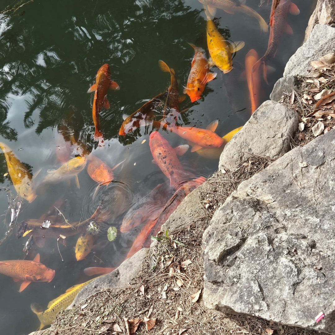 2025_11_korea_gyeongju 35c87acfda79