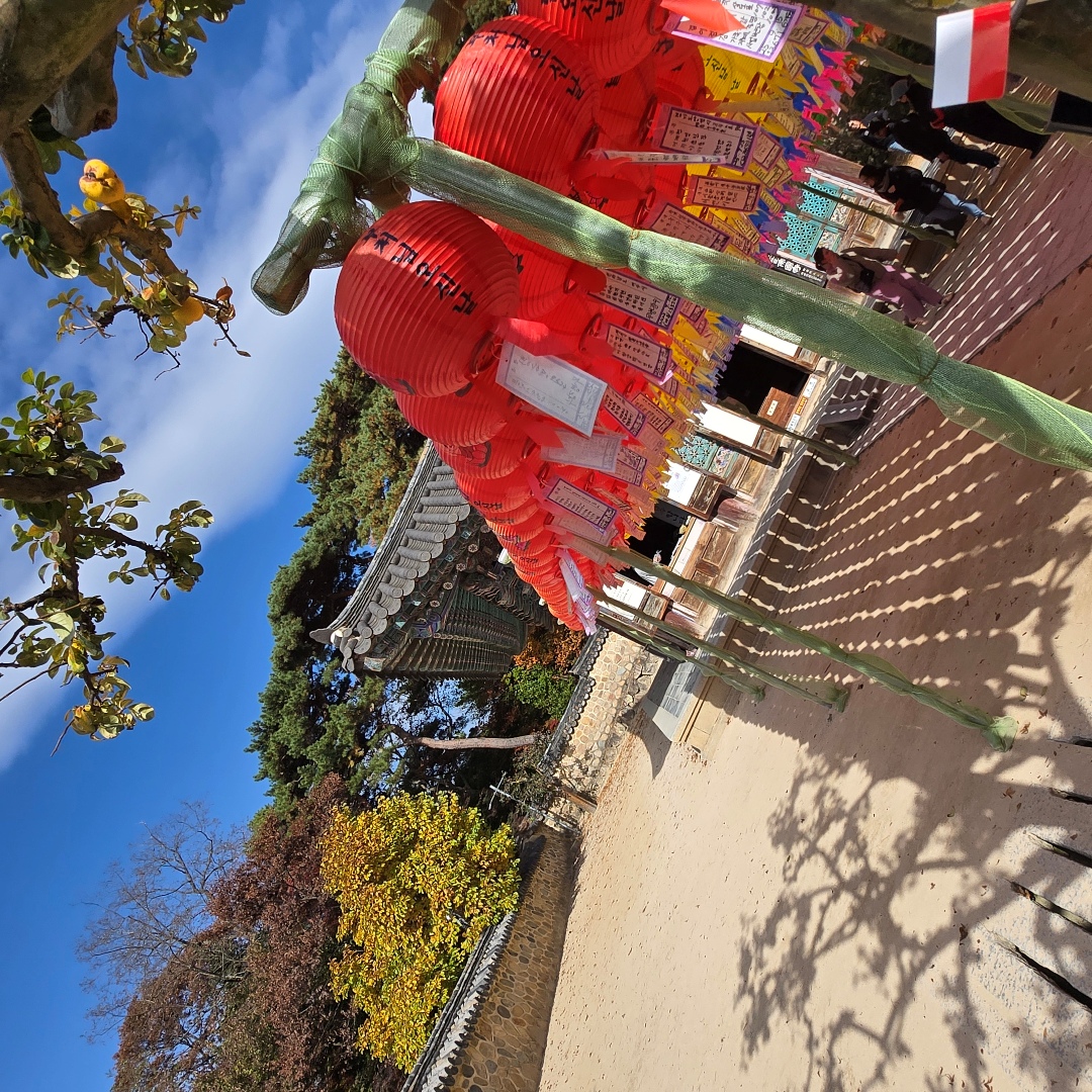 2025_11_korea_gyeongju 420eda8f5b98