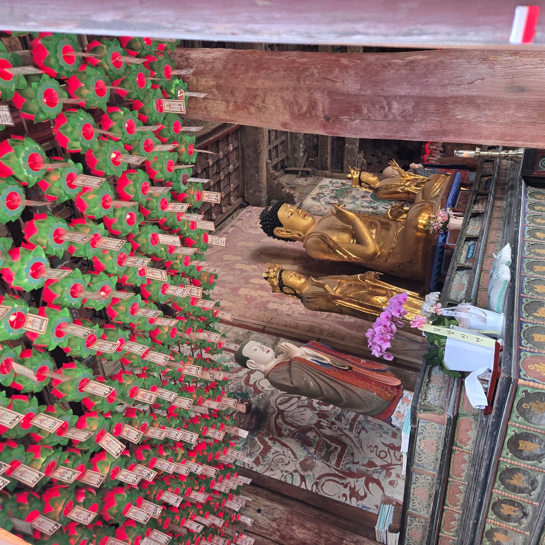 2025_11_korea_gyeongju 730b8920fefe