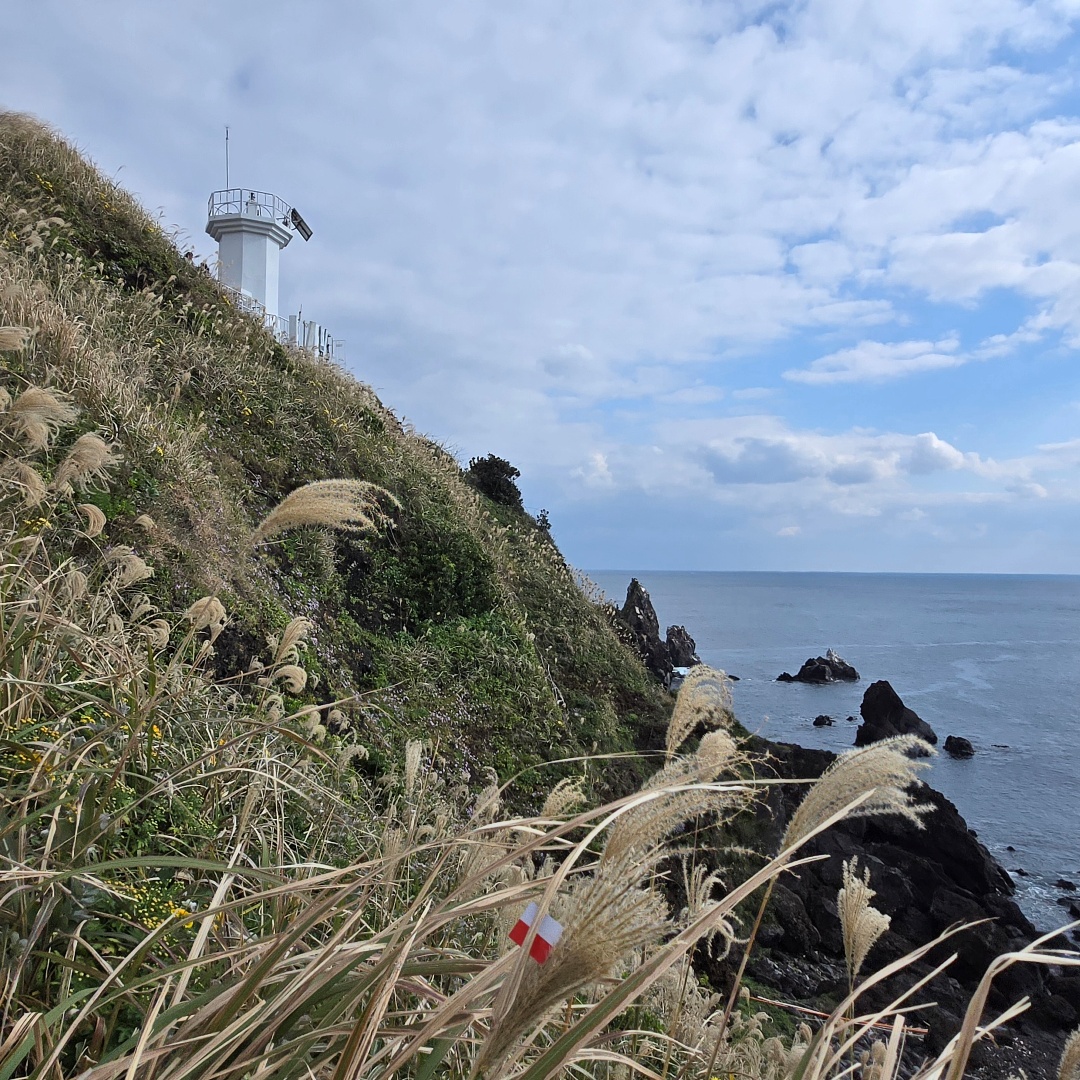 2025_11_korea_jeju 077f4085fb44