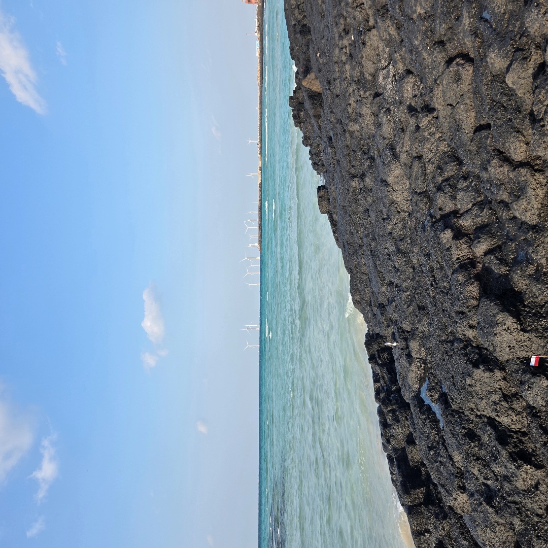 2025_11_korea_jeju 10d5fd5675c0