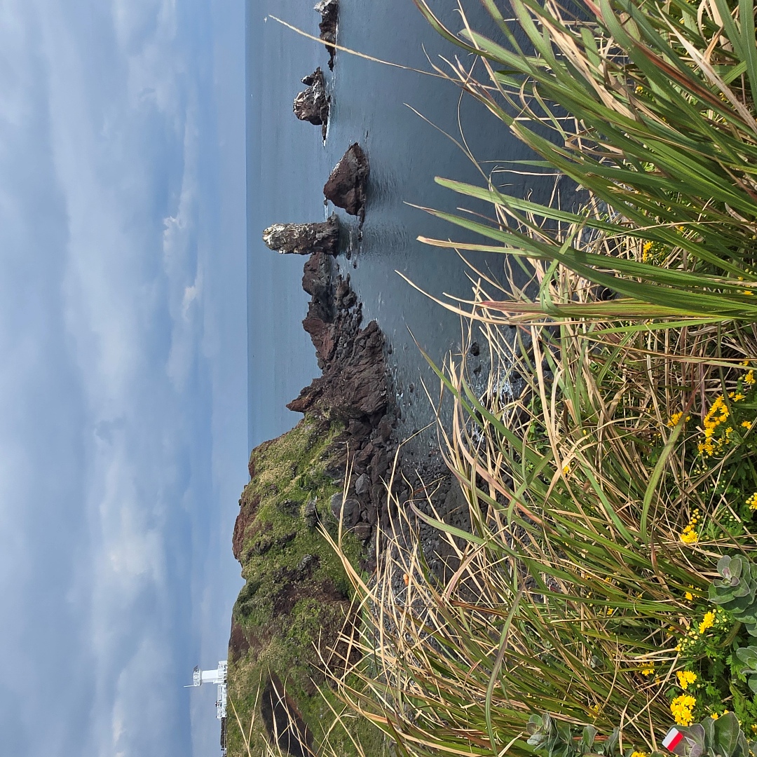 2025_11_korea_jeju 639715c5ab4a