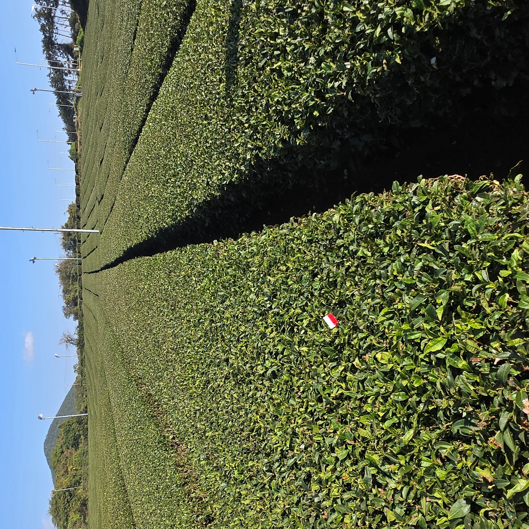 2025_11_korea_jeju 6f863a052721