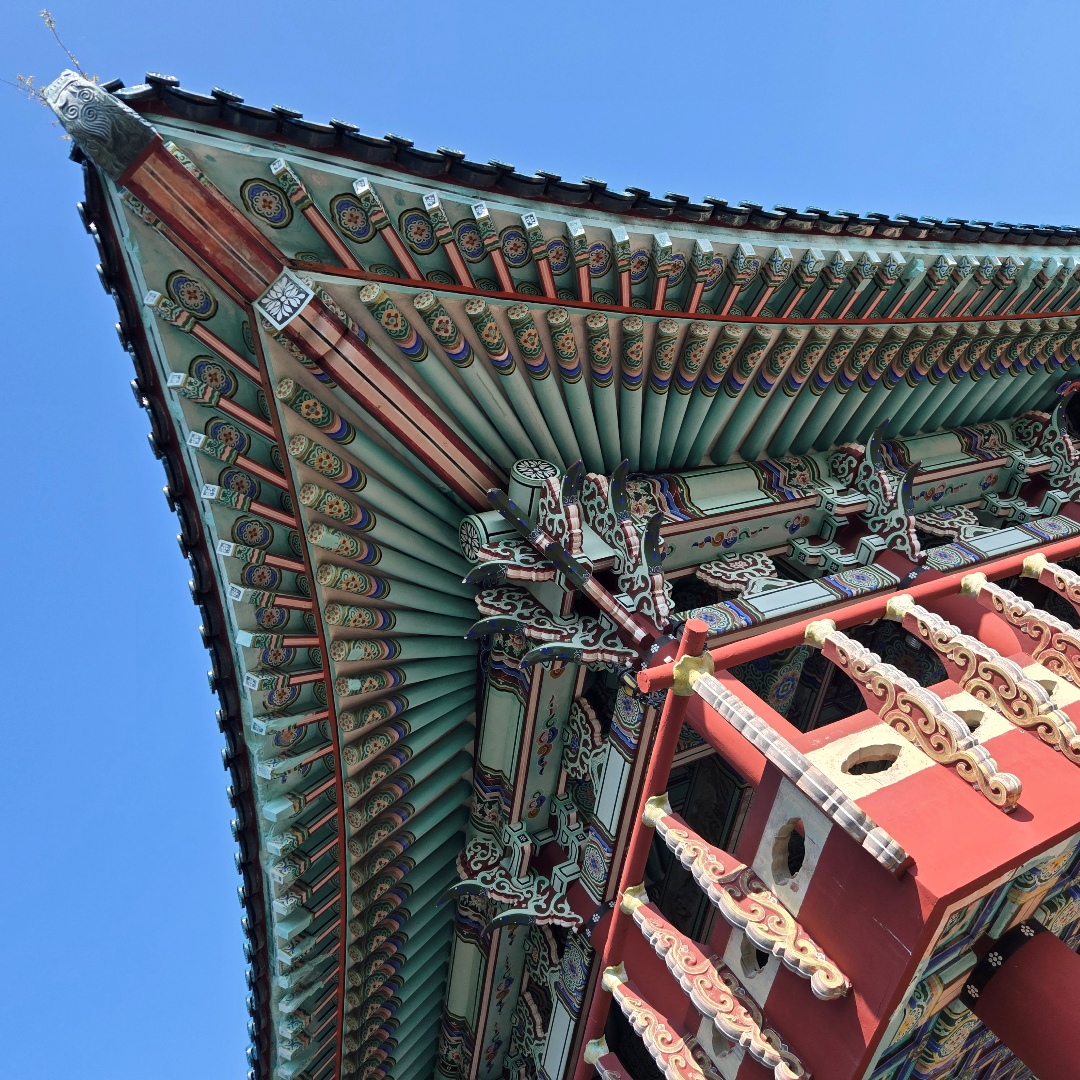 2025_11_korea_jeju 7819d170e9ff