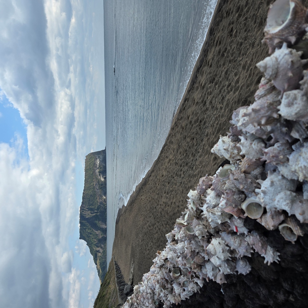 2025_11_korea_jeju 924300f56ae7