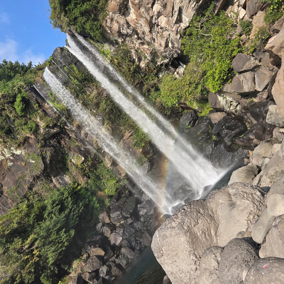 2025_11_korea_jeju 929481aeb00e