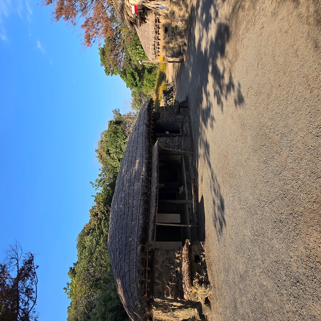 2025_11_korea_jeju b7d980d6da90