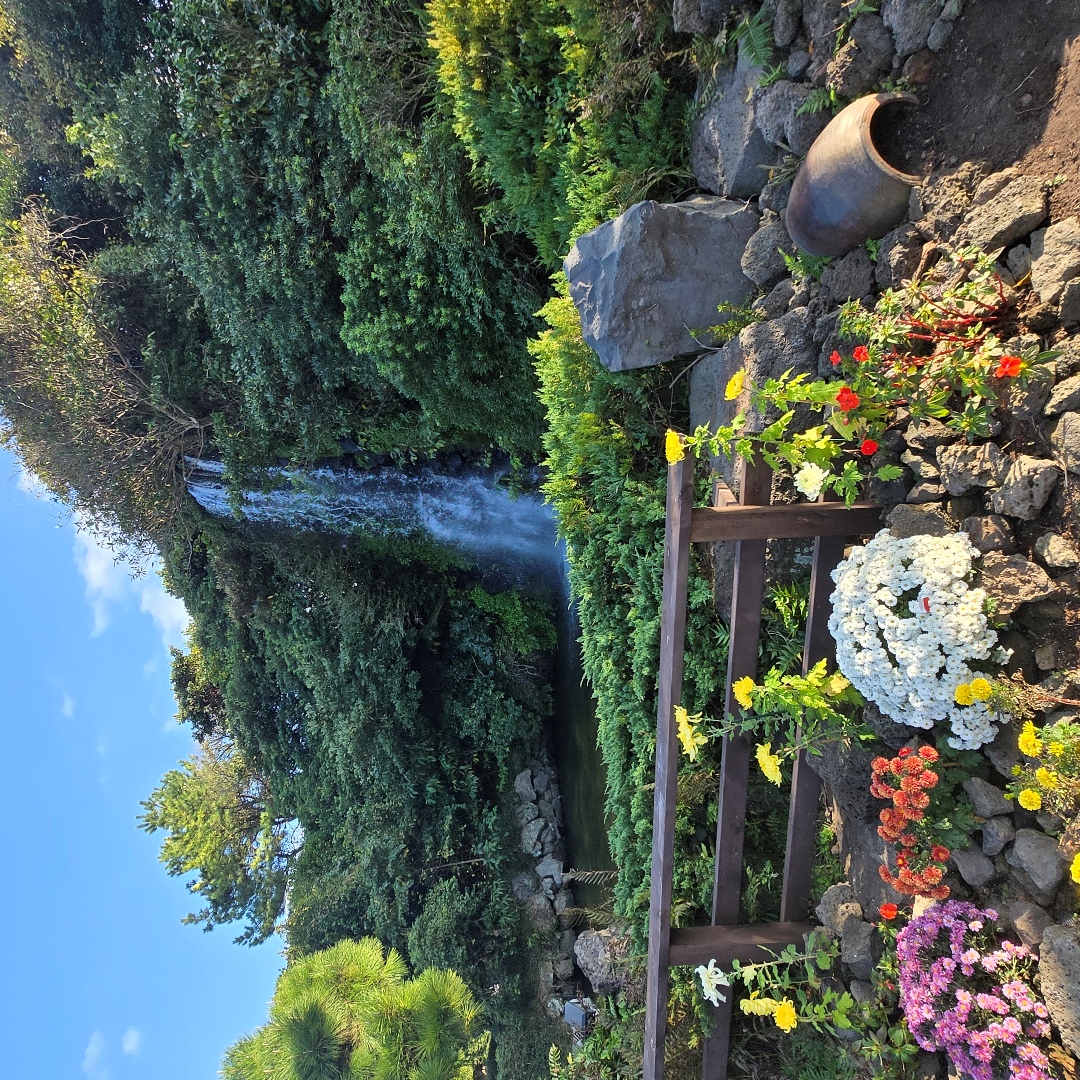 2025_11_korea_jeju d2a85fe10f5f