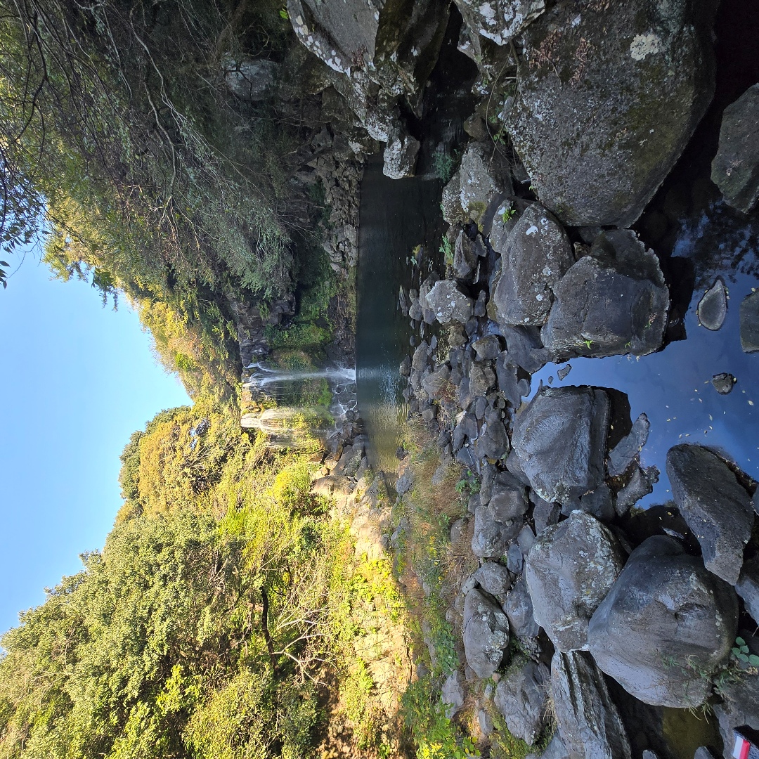 2025_11_korea_jeju e0cb51aa0cc1