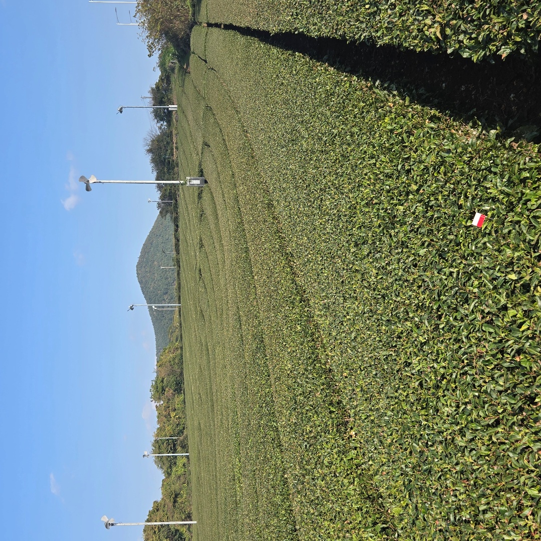 2025_11_korea_jeju ea681b172916