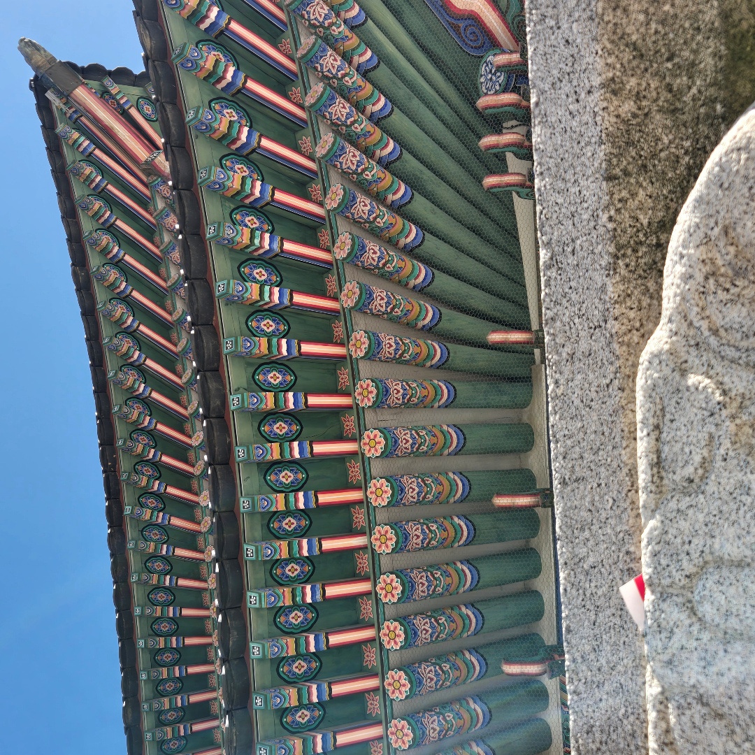 2025_11_korea_seoul 030c7fb4ffe7