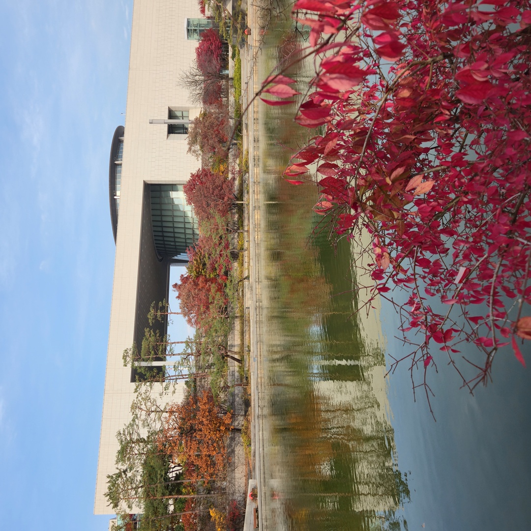 2025_11_korea_seoul 119cad685bd9