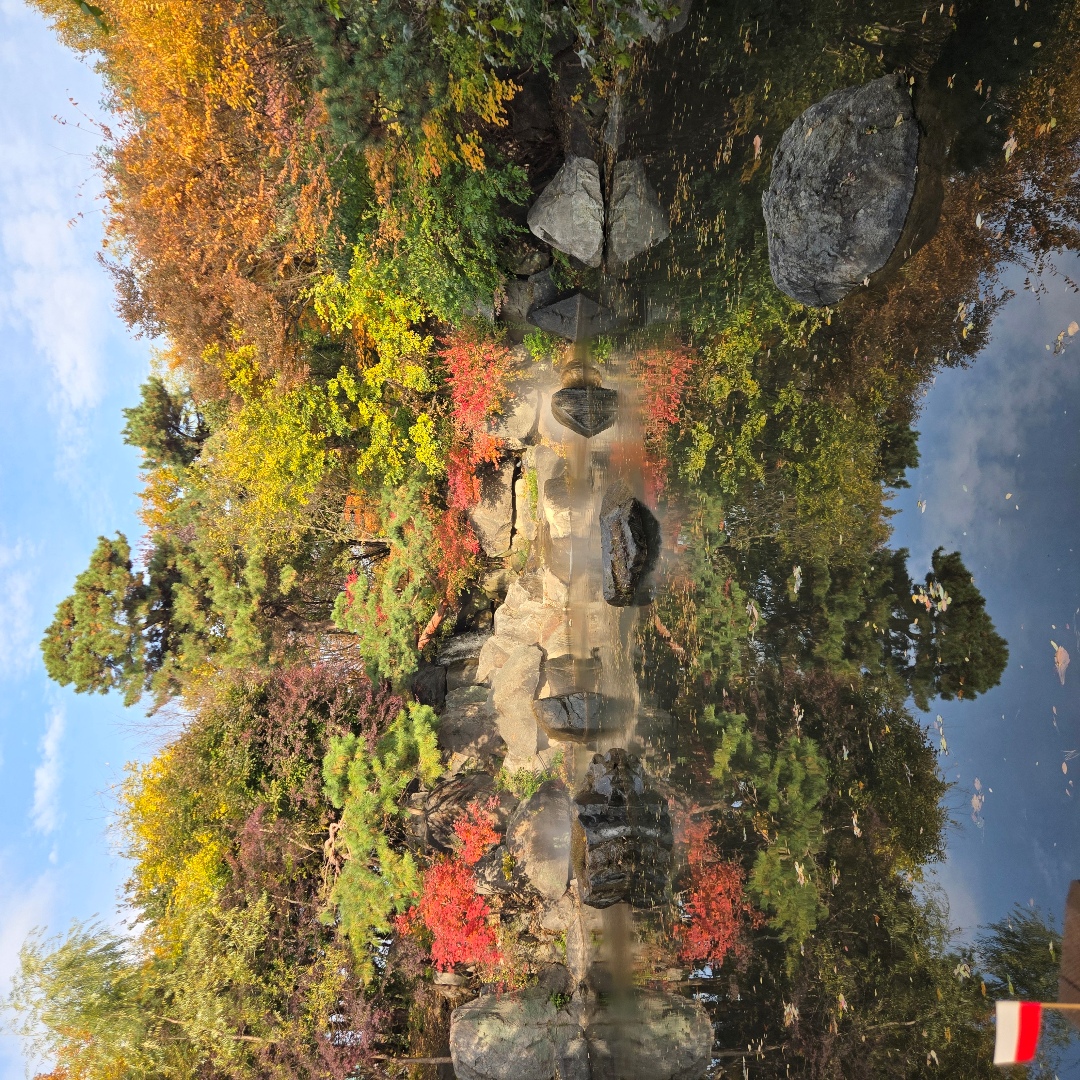 2025_11_korea_seoul 1c43cf5b28ff