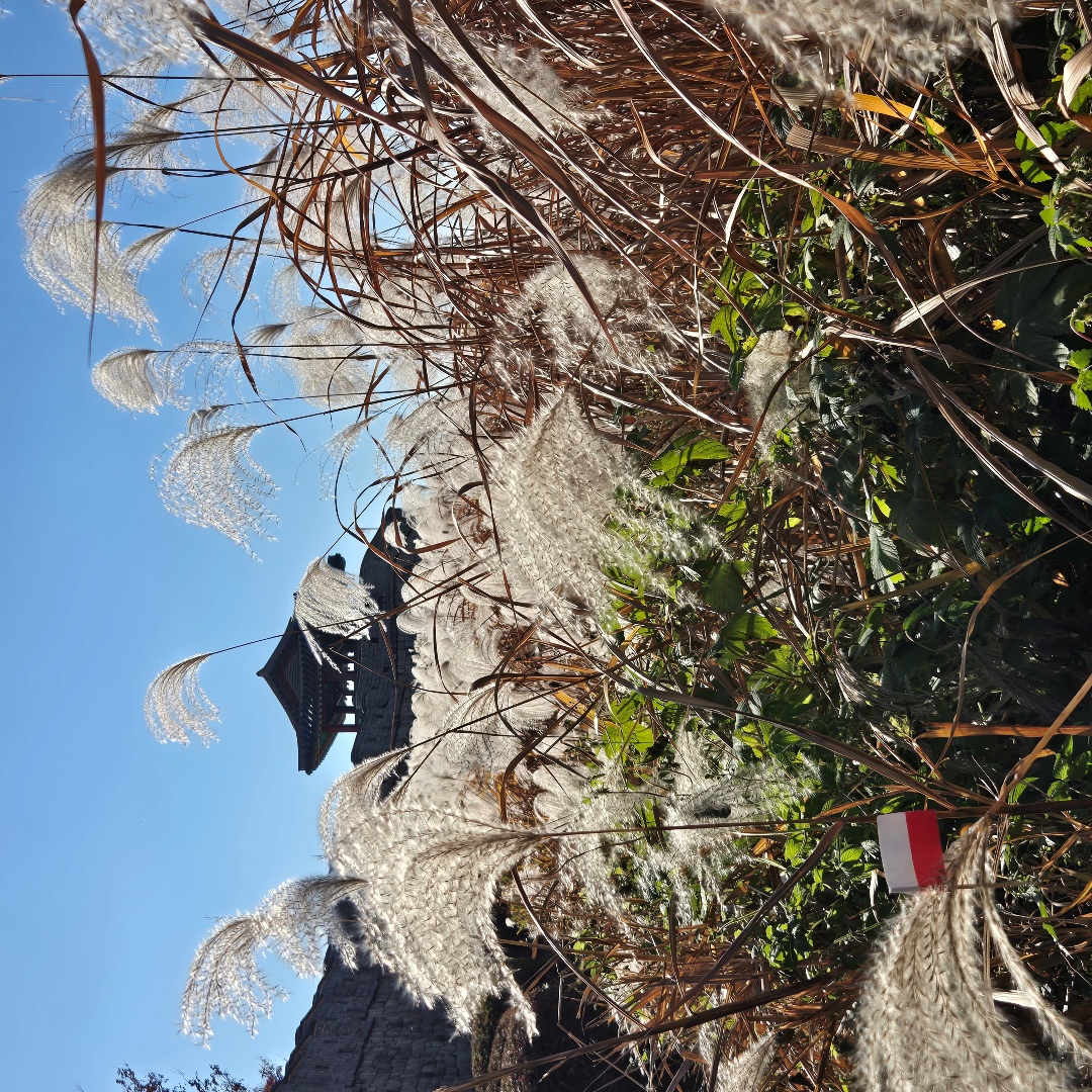 2025_11_korea_seoul 2fad58919f36