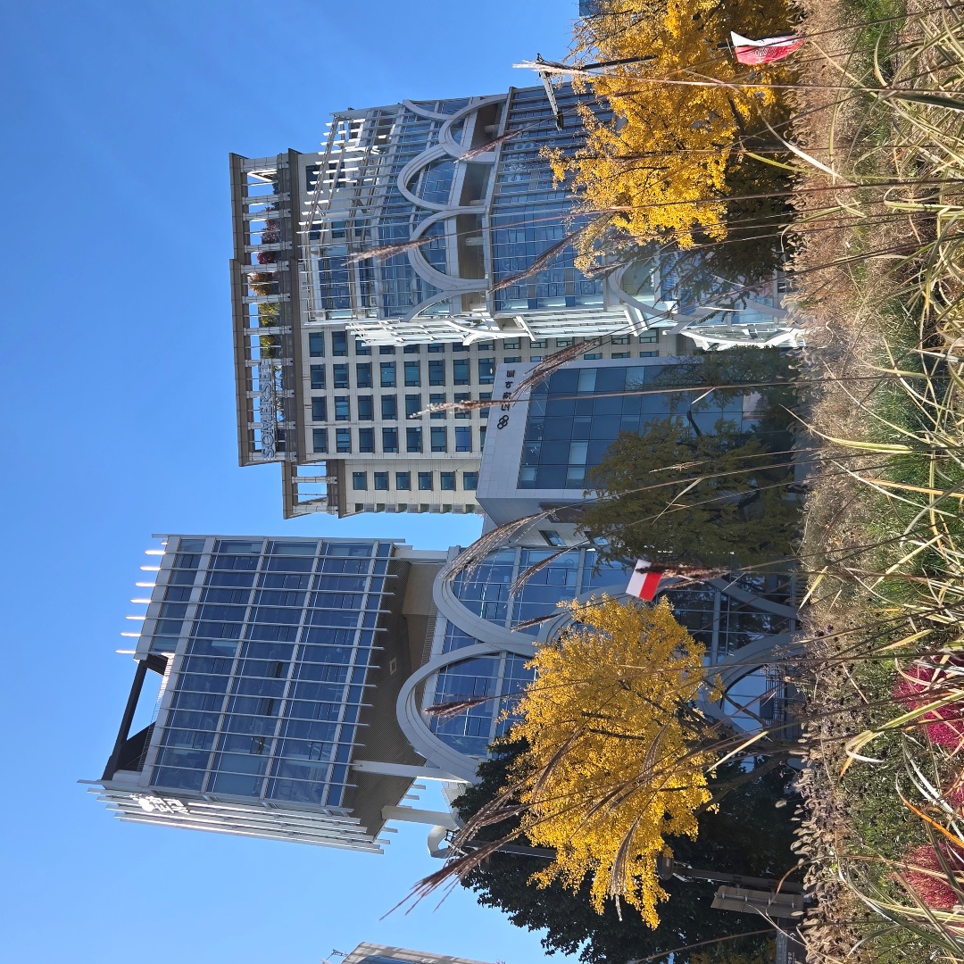 2025_11_korea_seoul 309760be4fbf