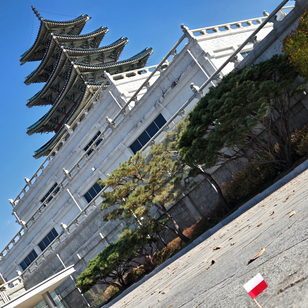 2025_11_korea_seoul 4edf3b2c41f2