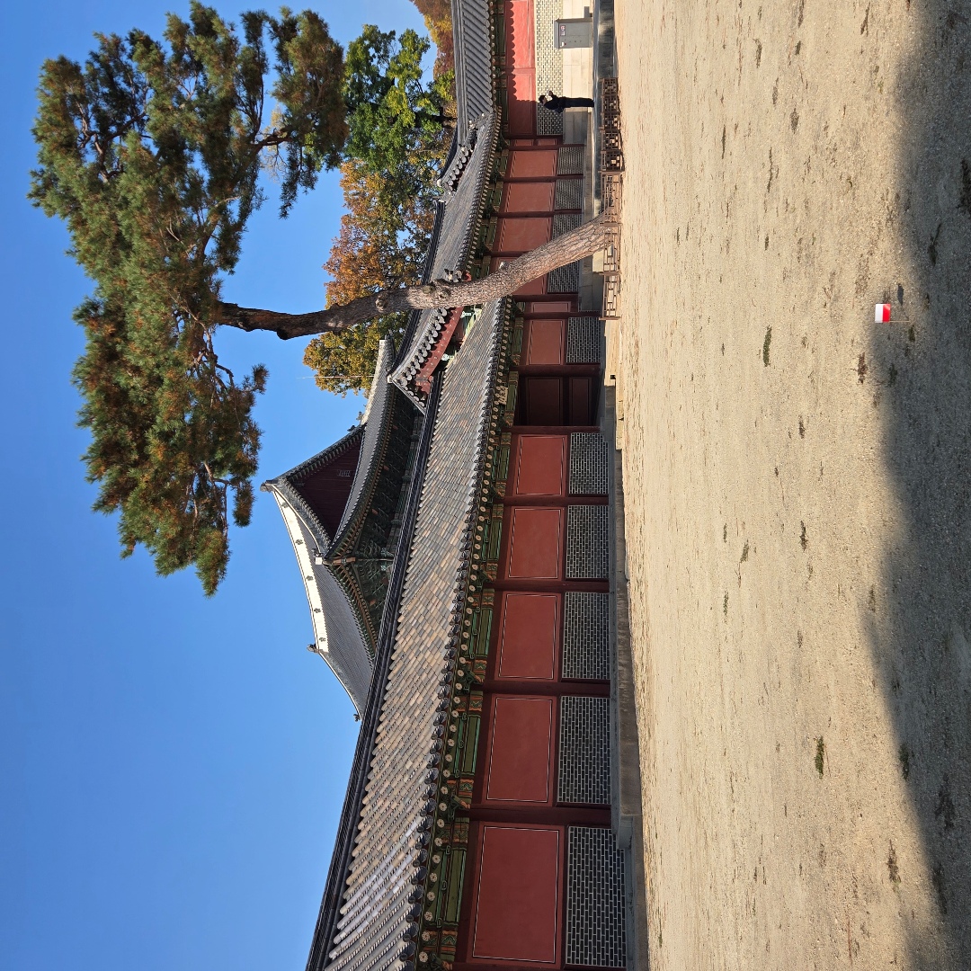 2025_11_korea_seoul 893ac9c13fdf