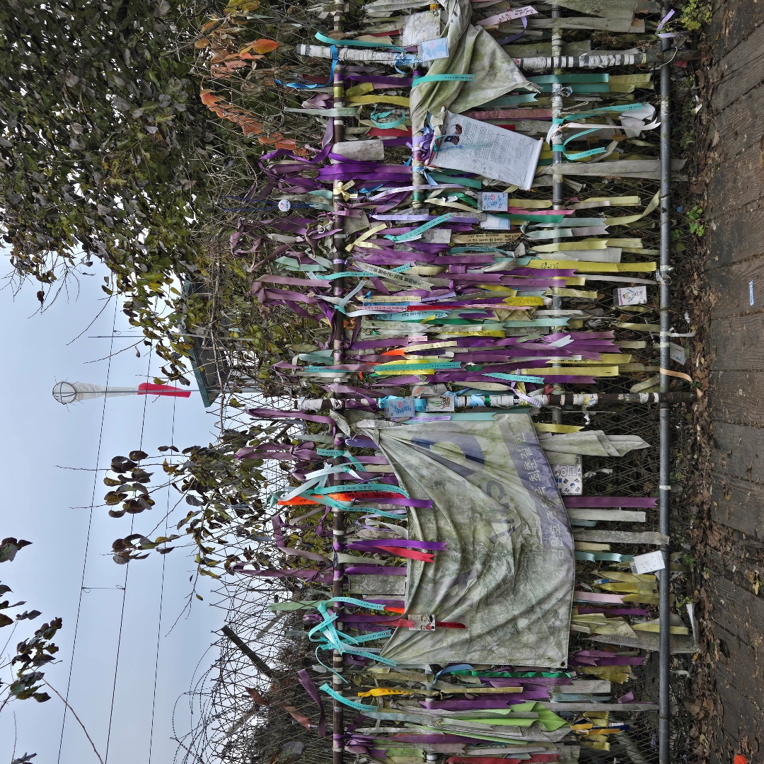 2025_11_korea_seoul f883529de48f