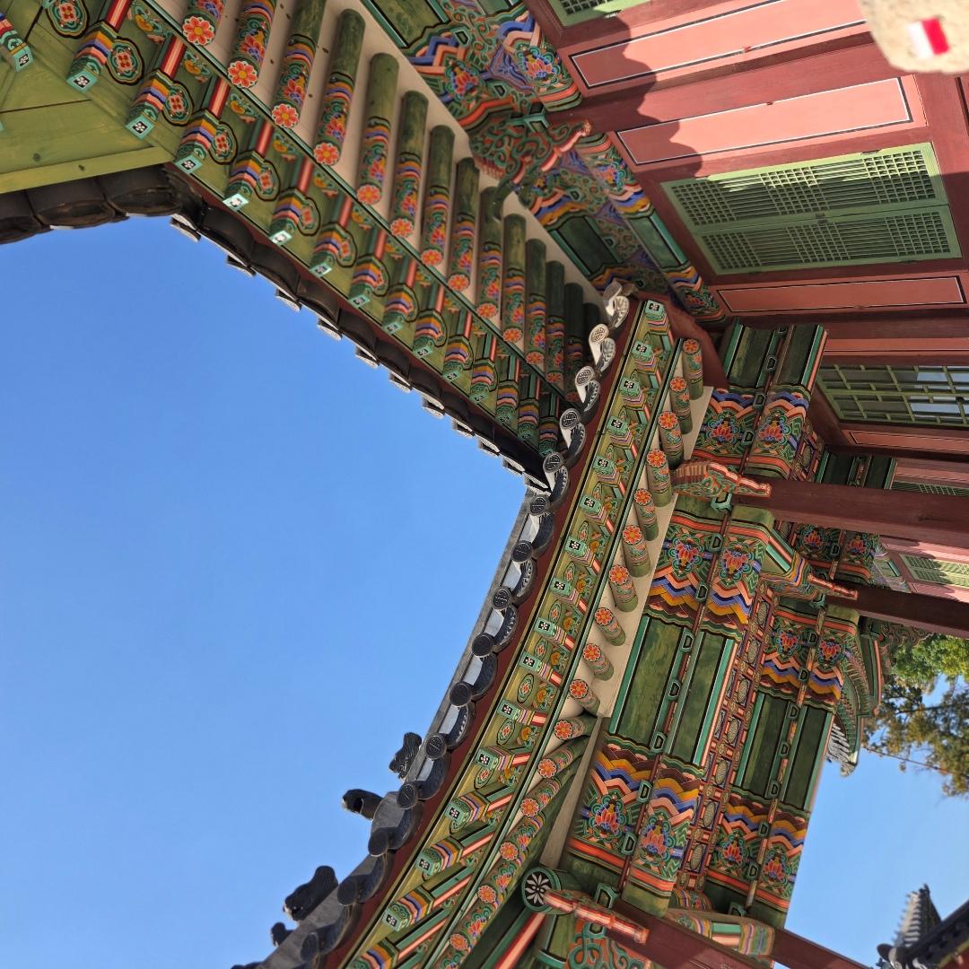 2025_11_korea_seoul fca8675d3b7a