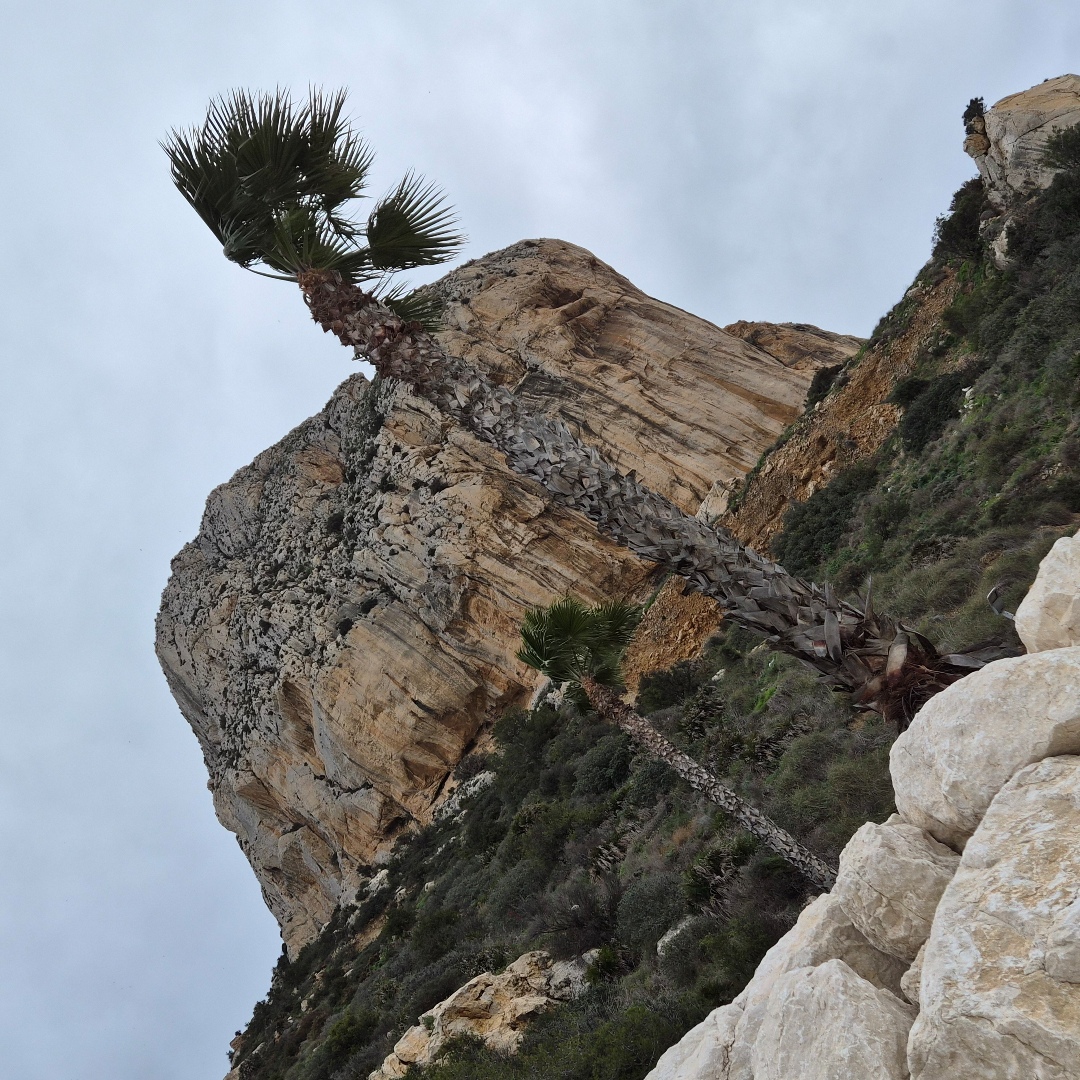 2026_01_spain_calpe 0acba147239d