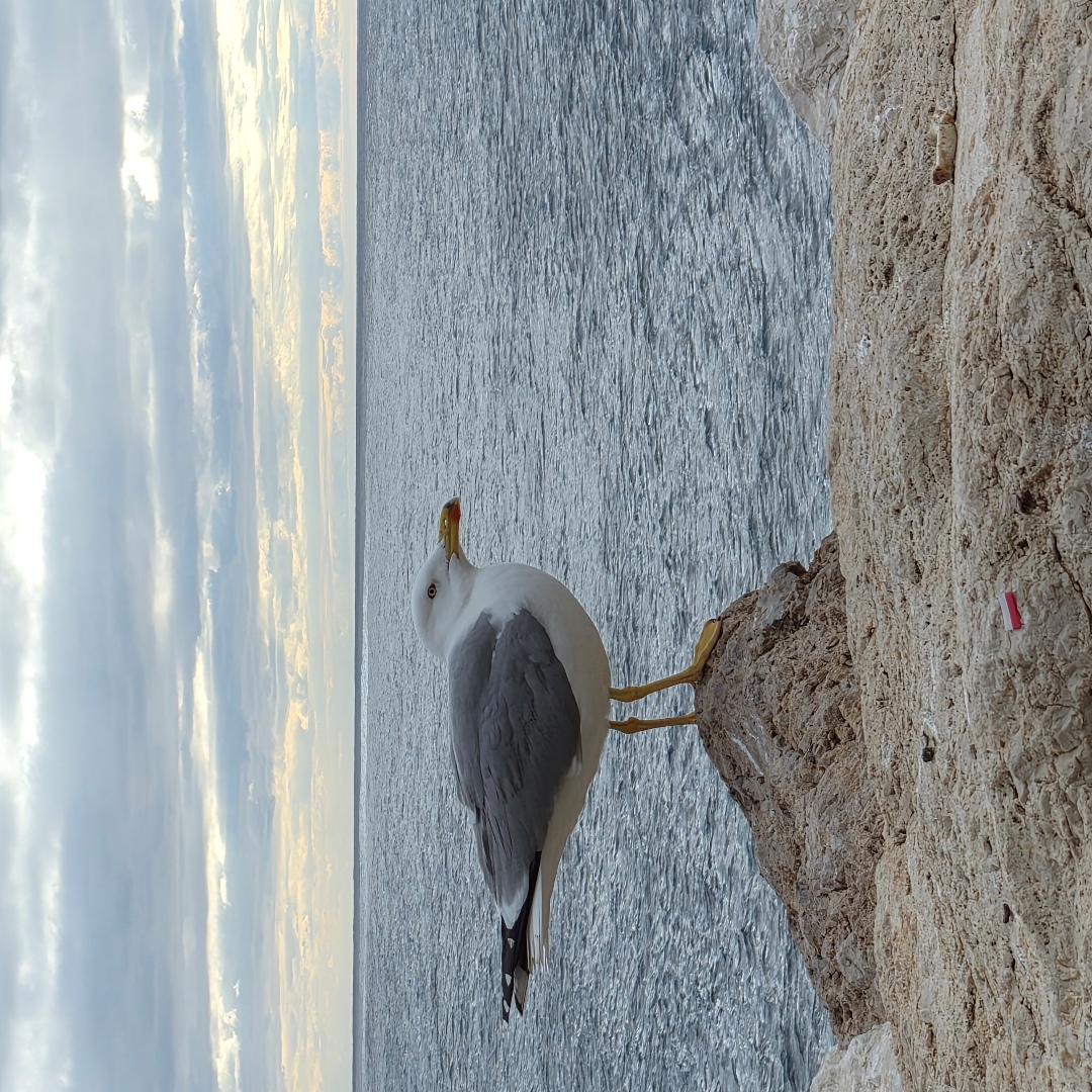 2026_01_spain_calpe 372534837fe0