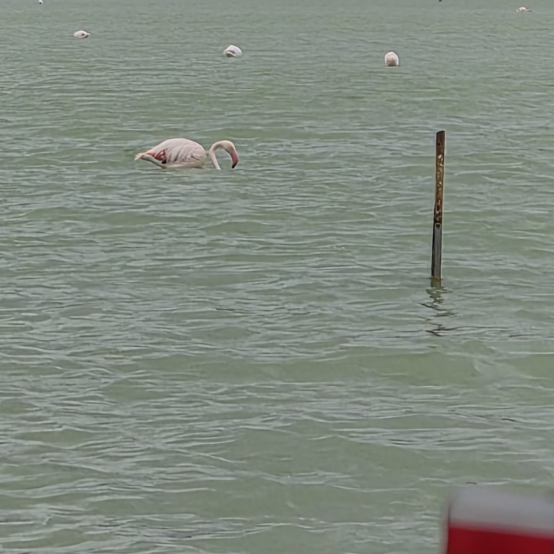 2026_01_spain_calpe 8cc1bf60ff73